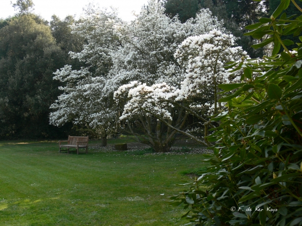 Bois des Moutiers (66) mars 2012